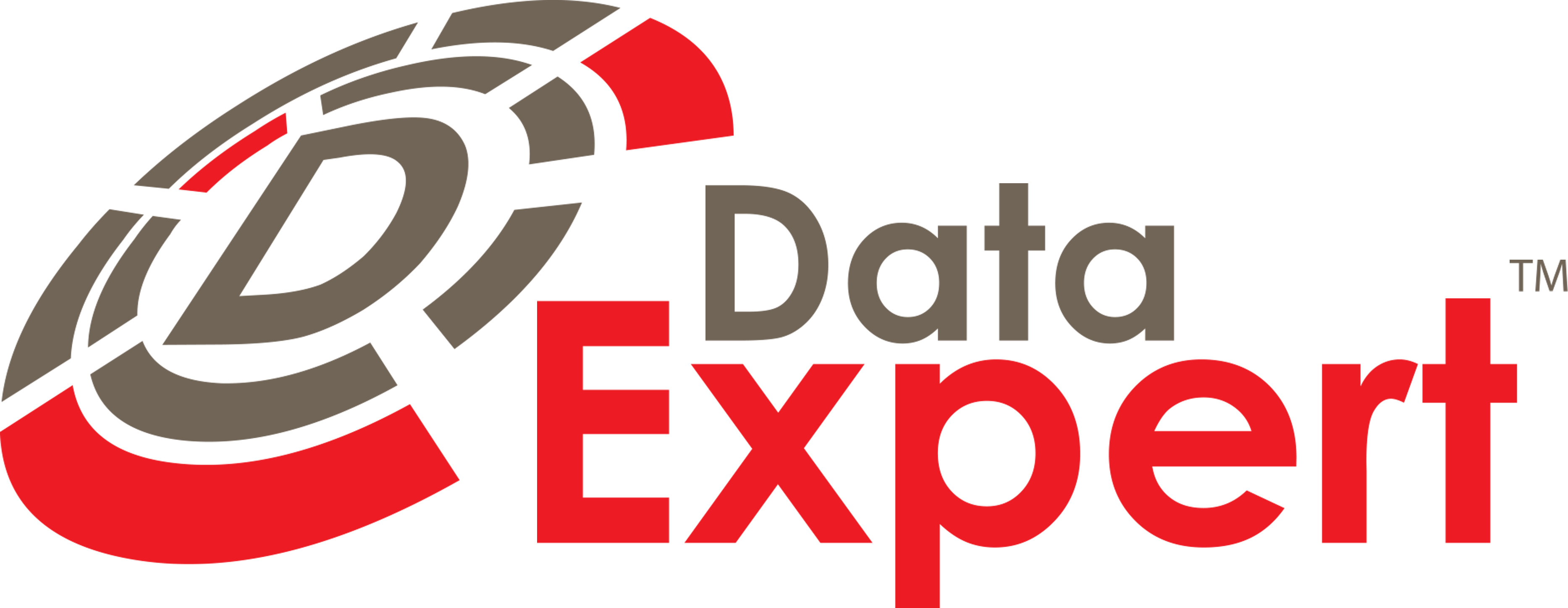 DataExpert Technology 로고